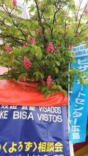 20140505_173236.jpg
